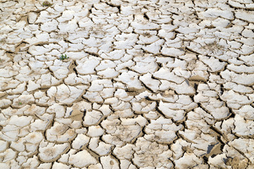 Closeup of dry cracked earth background, clay desert texture