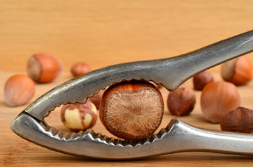 Hazelnut in nutcracker