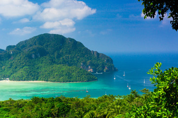 Palm Island Exotic Backdrop