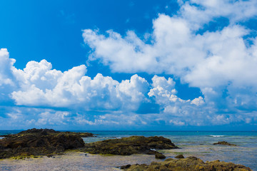 Fototapeta na wymiar Jungle Panorama Sea