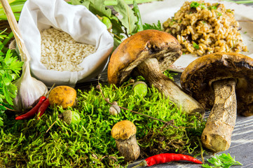 Ingredients of Italian risotto with mushrooms