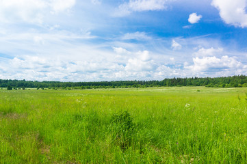 Field Freedom Plain Nature