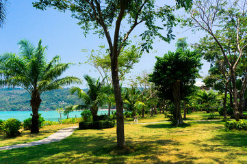 Idyllic Coast Under Trees