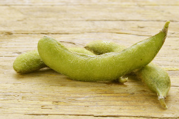 Glycine max Soybean Sojaboon Sojabohne Soya bean Соя