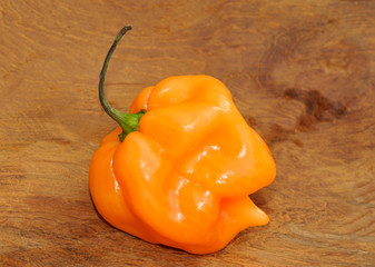 orange / golden habanero chili pepper - 71667001