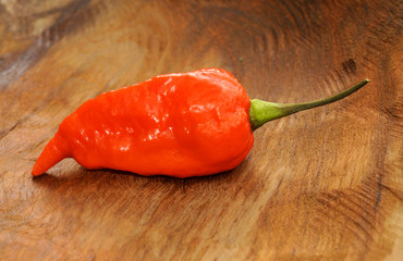 Bhut naga jolokia / ghost chili pepper