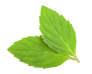 mint melissa leaves isolated © azure