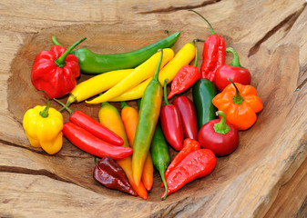 colorful mix of the freshest and hottest chili peppers - 71667638
