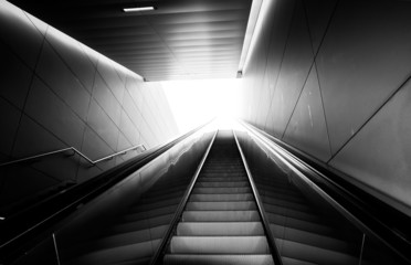 Licht