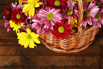 Beautiful chrysanthemum in basket on wooden background