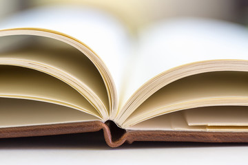 close up on open book pages