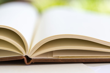 close up on open book pages
