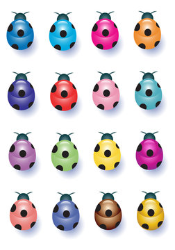 Sixteen Colorful Ladybugs