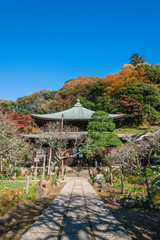 晩秋の鎌倉　瑞泉寺