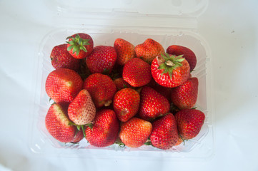 Fresh, ripe strawberries in clear plastic container