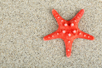 Starfish on sand background