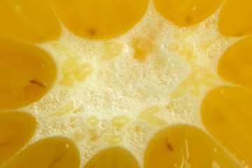 Lemon close-up