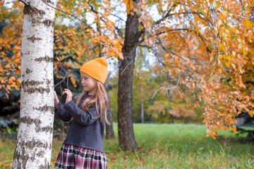 Adorable little girl at beautiful autumn day outdoors