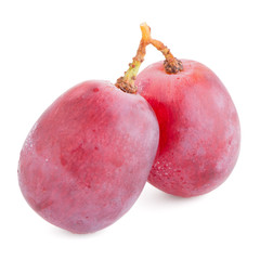 Red grape