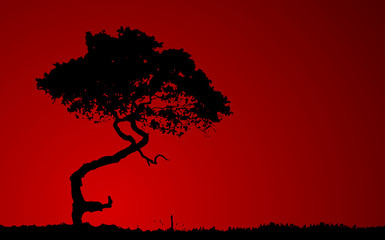 Silhouette of tree over red background. Vector