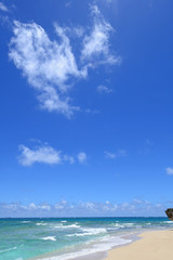 南国の美しいビーチと紺碧の空