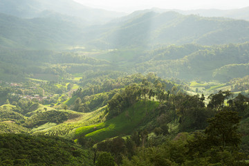 Fototapeta na wymiar landscape with green corn field, forest, mountains