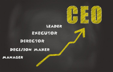 The Responsibilities Of CEO, Written On A Black Board