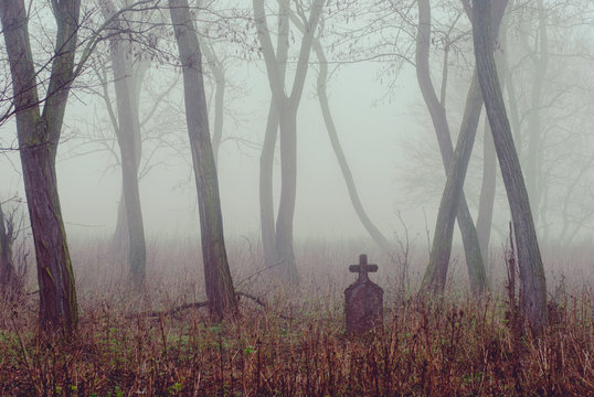 Spooky cemetery in the forest