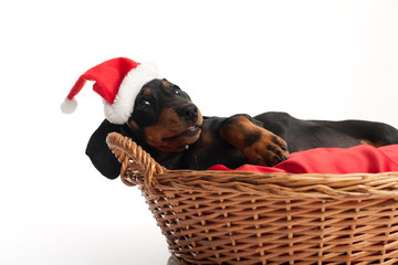 Waiting for Santa Claus