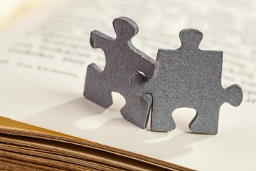Closeup of two jigsaw puzzle pieces on book page