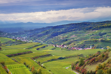 Weinbergterassen, Reben und Mehr, Kaiserstuhl, Hebst