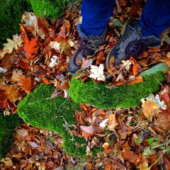 все в поход!