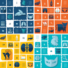 veterinary flat infographic