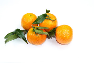 clémentines de corse