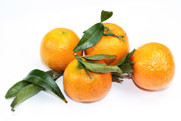 clémentines