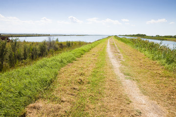 Country road in the Comacchio's valley (Ferrara - Italy)