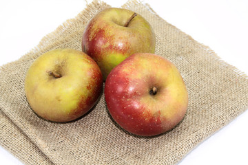 pommes boskoop