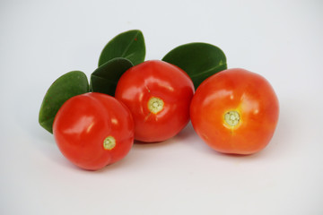 tomato on white background