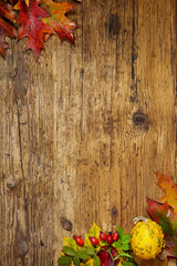 Thanksgiving Autumn Fall background with red, brown and yellow l