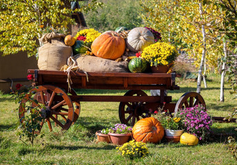 Autumn harvest festival