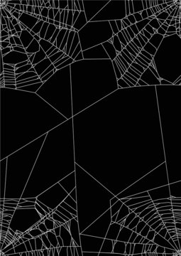 spider web four white corners