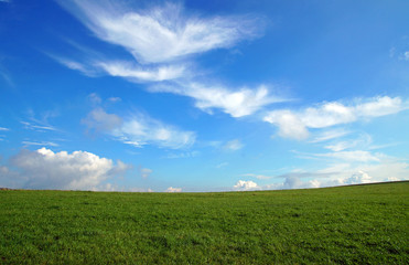 Fototapeta na wymiar Wiese mit Wolken - Meditation