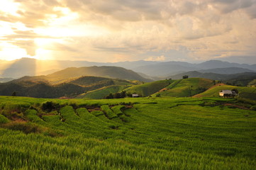 Fototapeta na wymiar Rice Paddy Fields on the Mountain