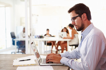 Man Using Laptop In Modern Office Of Start Up Business