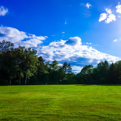 Obraz premium green field