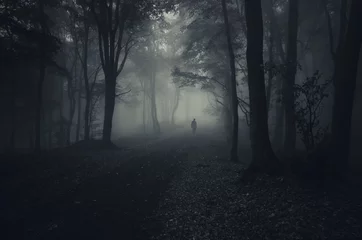 Foto op Aluminium dark forest with spooky man walking on a path © andreiuc88