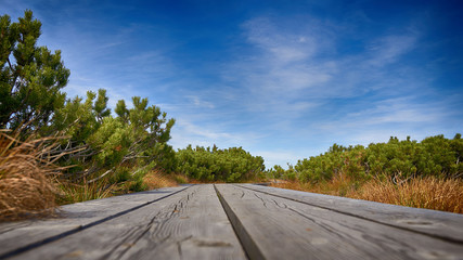 Old wooden road perspective through green grass