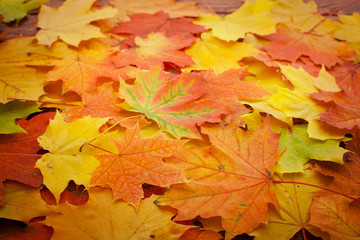 Fototapeta na wymiar Autumn leaves on wooden table.