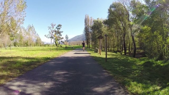 run in the park
