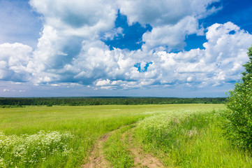 Road and Nobody Acres Wild